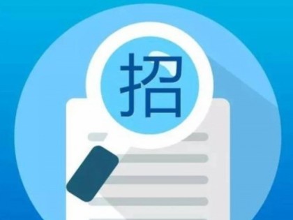 城市燃气管道等老化更新改造项目燃气调压器安装工程二标段 (23台) 设备采购项目招标公告
