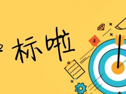 城市燃气管道等老化更新改造项目 第二标段及燃气调压器辅材)